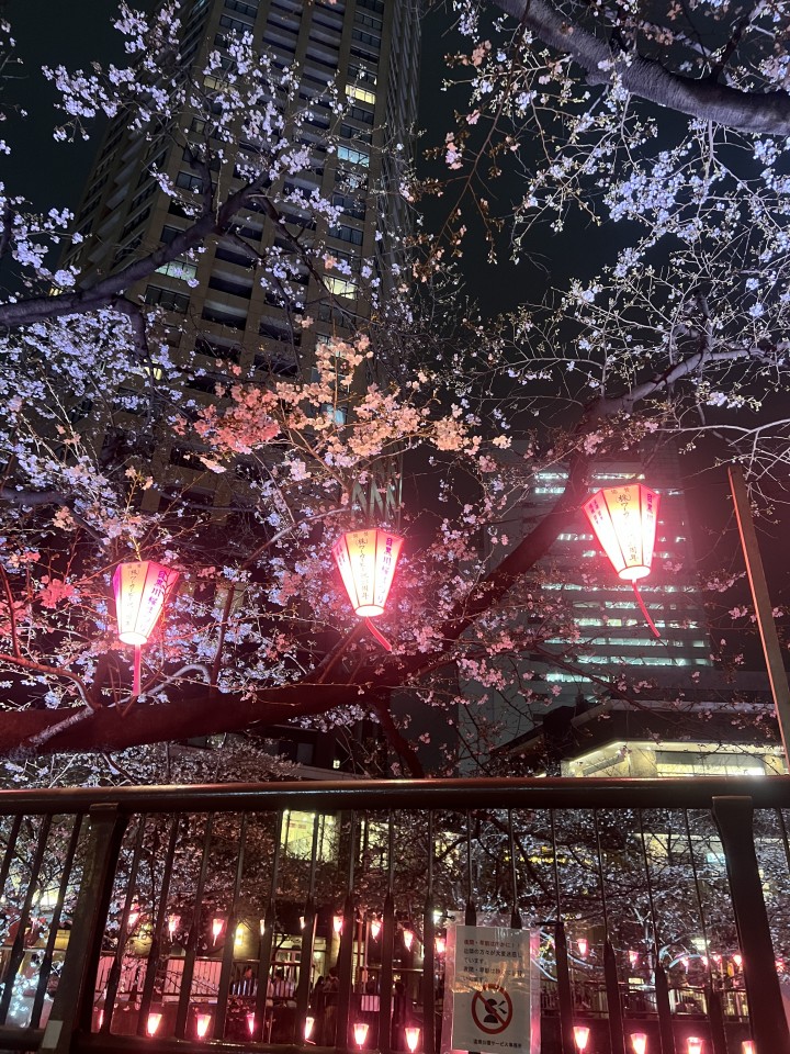 アップロード画像