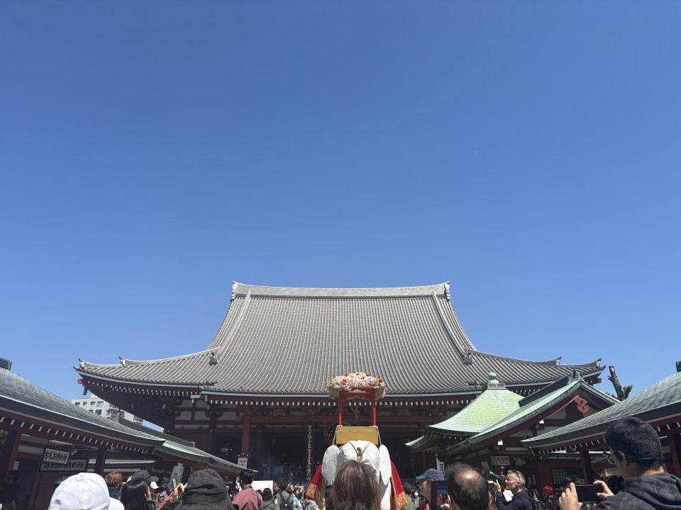 アップロード画像