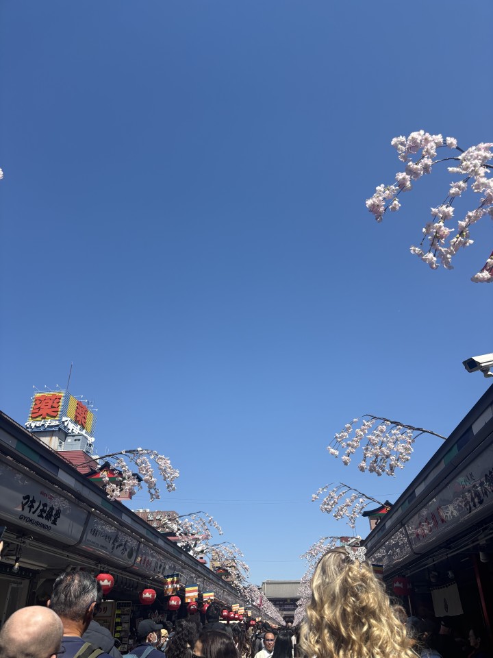 アップロード画像