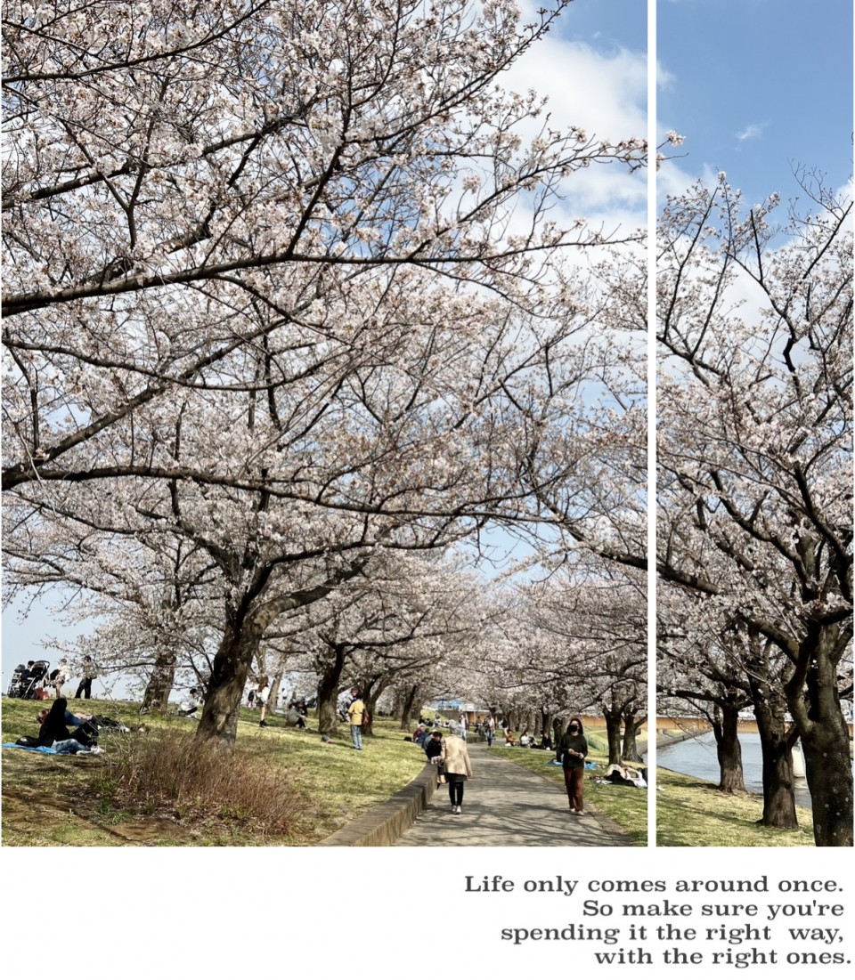 アップロード画像