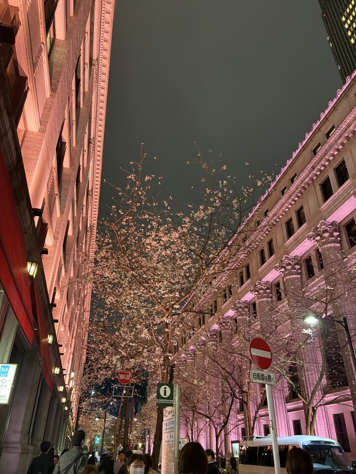 アップロード画像